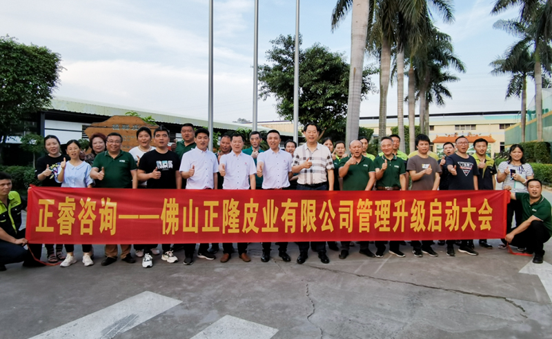 助力皮革行業(yè)再樹標(biāo)桿——正隆皮業(yè)全面管理升級項目啟動！