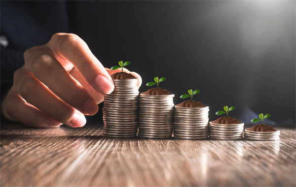 從集團管控到企業(yè)成長:培育可持續(xù)發(fā)展的競爭優(yōu)勢 從集團管控到企業(yè)成長:培育可持續(xù)發(fā)展的競爭優(yōu)勢