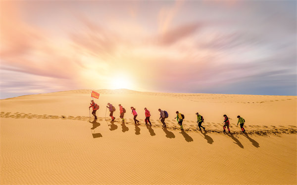 風(fēng)險防范：構(gòu)建全面風(fēng)險管理體系，保障企業(yè)穩(wěn)健發(fā)展